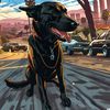danny_62613