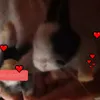 pikachuxd_66