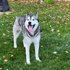 allyson_907