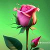 sehriy06