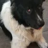 barbara.bob0