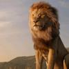 leonleon526