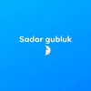 mhd_vikhry7