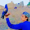 userp10wqt1paf