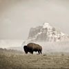 joseph_4678