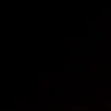 _cassia_alves