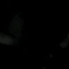 gemini20_june