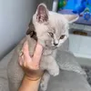 anaiaanastasia