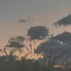 i_dont_mind1
