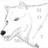 mootxx