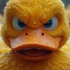 rubberduck902