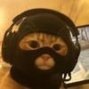 user234556