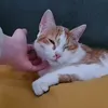 motherofluciferthered