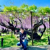 thehoang616