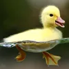 patitoamarilloo