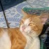 taaaaaaaa_1404