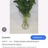 eivis_47