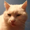 harleyusername