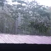 loxuanquyen_75