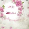 appleuser55423760