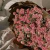sara__al4