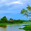 kieuphong23869f1