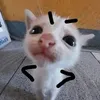 pumba_egorik