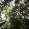 useranhphung
