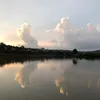 anh_tung890