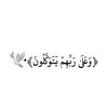 ne_ad50