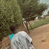 dickson_ball