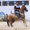 thiago rancho cliniveter