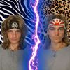 MONKEE BOIS