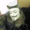 alexander_paul228