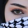 majdqasem11
