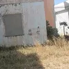 daniel_pece