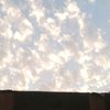 foofo_2021