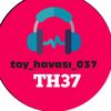toyhavasi037