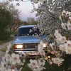 landrandi228