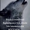 ceyhuntatlidil408