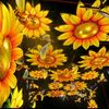 flsunshine19