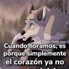 corneliaquispe736