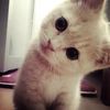 dearsweethe4rt