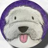 mrmrpurple