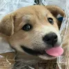 tienheheboii2701