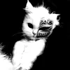 davi_444445