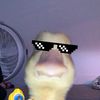 tiago__o5