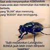 tabalai_82