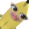 ddsoy3
