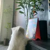 wsyy_08